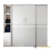 Tủ Quần Áo 3 Cửa Lùa Xanh Thái Lan Màu 206SH